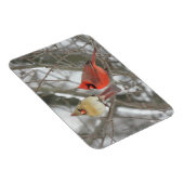 北深紅色 マグネット (右側)