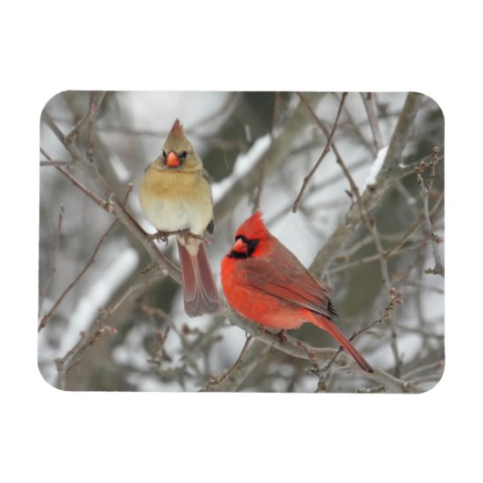 北深紅色 マグネット (横)