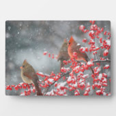 北深紅色 |マリオン、イリノイ フォトプラーク (正面)