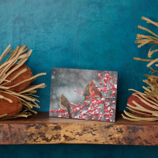 北深紅色 |マリオン、イリノイ フォトプラーク (側面)