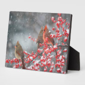 北深紅色 |マリオン、イリノイ フォトプラーク (側面)