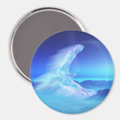 北磁石のフェニックス マグネット (正面/裏面)