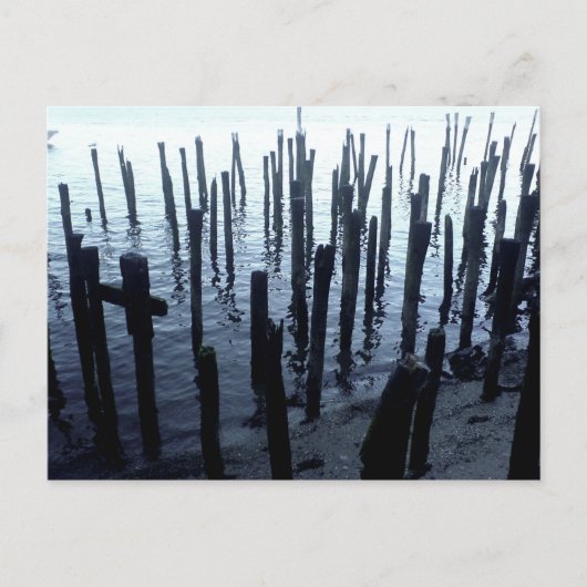 北端ウォーターフロント桟橋残党 ポストカード (正面)