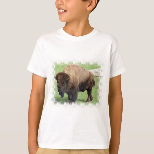 北米のバイソン・キッドのTシャツ Tシャツ (正面)