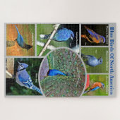 北米のブルーバード教育対象7種 ジグソーパズル (横)