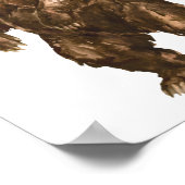 北米の動物 | 教育 授業 ポスター (角)