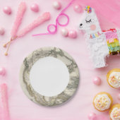 北米の地図 ペーパープレート (パーティー)