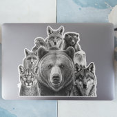 北米の捕食動物 シール