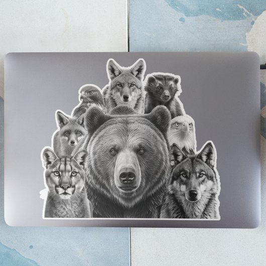 北米の捕食動物 シール