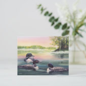 北米の湖の水に浮かぶローンのカラーアート ポストカード (スタンド正面)