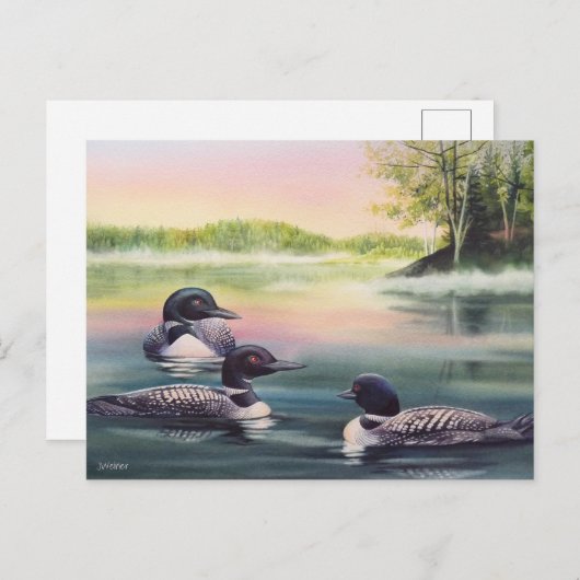 北米の湖の水に浮かぶローンのカラーアート ポストカード (正面/裏面)