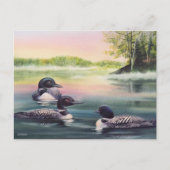 北米の湖の水に浮かぶローンのカラーアート ポストカード (正面)
