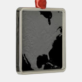 北米の立体視2 メタルオーナメント (右)