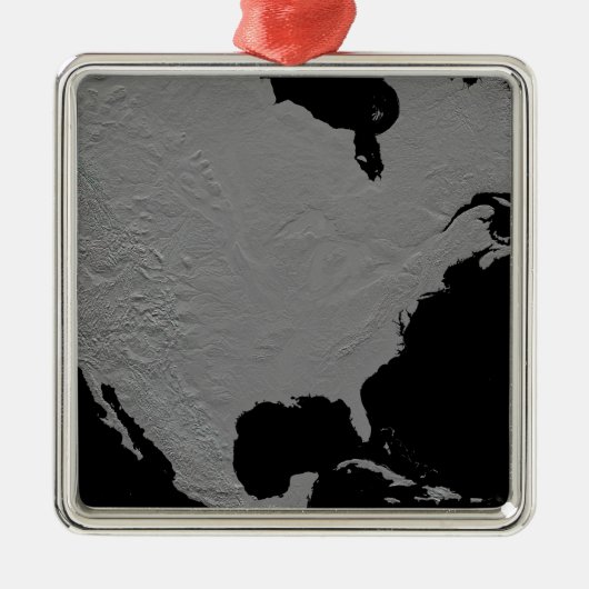 北米の立体視2 メタルオーナメント (正面)