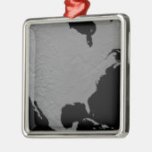 北米の立体視2 メタルオーナメント (左)