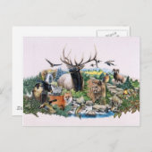 北米の野生生物 ポストカード (正面/裏面)