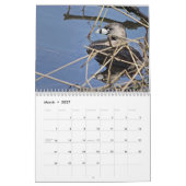 北米の鳥2026カレンダー カレンダー (3月 2027)