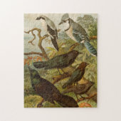 北米の鳥｜グスタフ・ミュッツェル ジグソーパズル (縦)