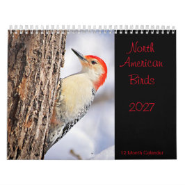 北米の鳥 2027年 カレンダー