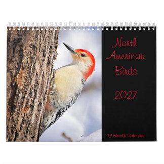 北米の鳥 2027年 カレンダー