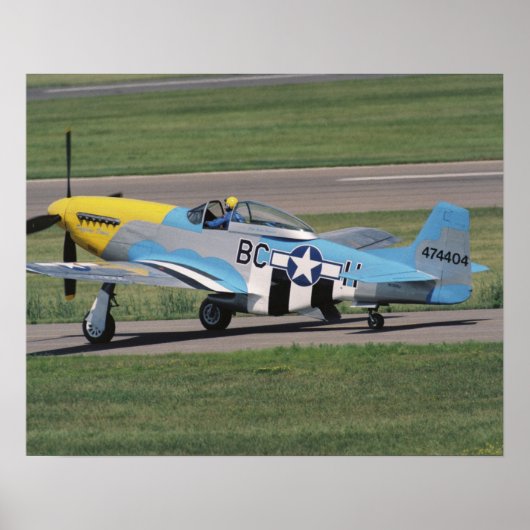 北米のP-51 D ダズリング・ドナ・オン・ザ ポスター (正面)