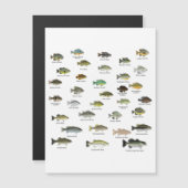 北米サンフィッシュグループ (正面/裏面)