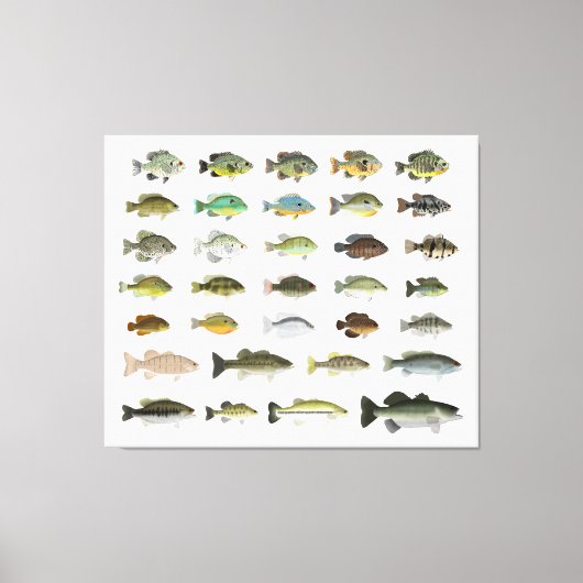 北米サンフィッシュグループ キャンバスプリント (正面)