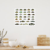 北米サンフィッシュグループ ポスター (キッチン)