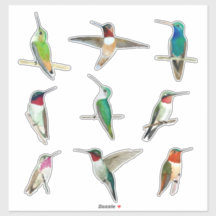 北米ハミングバードのシール