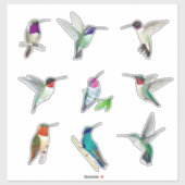 北米ハミングバードのシール シール (シート)