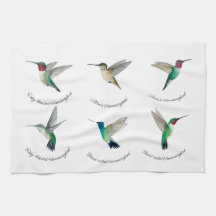 北米ハミングバード