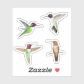 北米ハミングバード シール (シート)