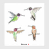 北米ハミングバード シール (シート)