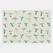 北米ハミングバード ラッピングペーパーシート (正面3)