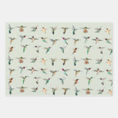 北米ハミングバード ラッピングペーパーシート (正面2)