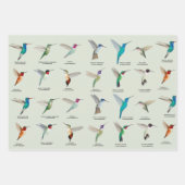 北米ハミングバード ラッピングペーパーシート (正面)