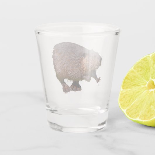 北米ビーバーから隔離されている ショットグラス (裏面)