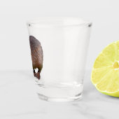 北米ビーバーから隔離されている ショットグラス (右)