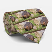 北米ビーバーの接写 ネクタイ (ロール)