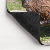 北米ビーバーの接写 マウスパッド (コーナー)