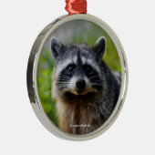 北米ラクーンとの顔への顔 メタルオーナメント (右)