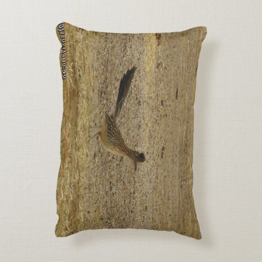 北米ロードランナーアクセント枕 アクセントクッション (裏面(縦))