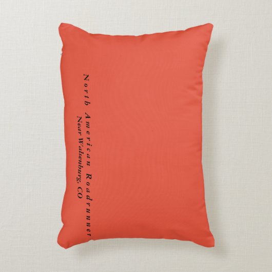 北米ロードランナーアクセント枕 アクセントクッション (正面(垂直))