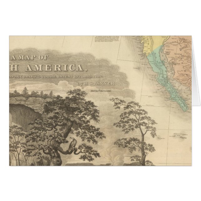 北米南西部 (正面横)