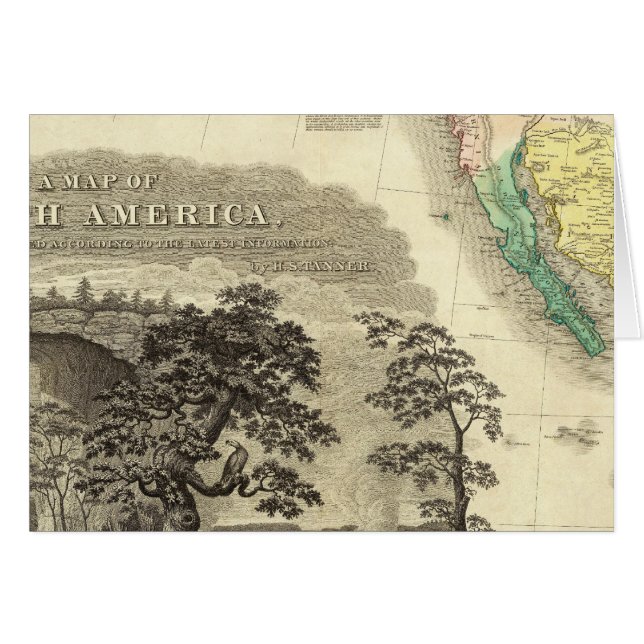 北米南西部 (正面横)