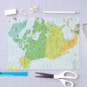 北米地図 薄葉紙 (クラフト)