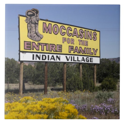 北米大陸分水界、ニューメキシコのルート66 タイル (正面)