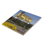 北米大陸分水界、ニューメキシコのルート66 タイル (側面)