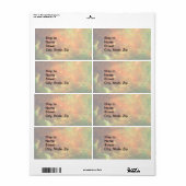 北米星雲 ラベル (フルシート)