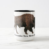北米水牛 ツートーンマグカップ (中央)
